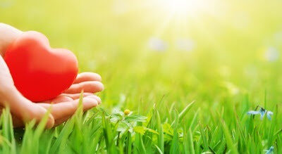 La Voie du Coeur : Cultiver la Présence à Soi, aux Autres, à la Vie